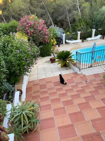 La Florentine Bandol Esterno foto